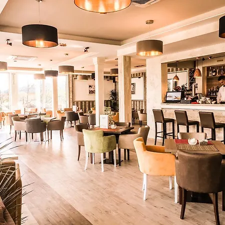 菲利亚酒店 波德戈里察