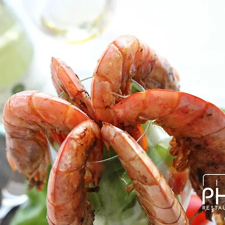 酒店 菲利亚酒店 波德戈里察